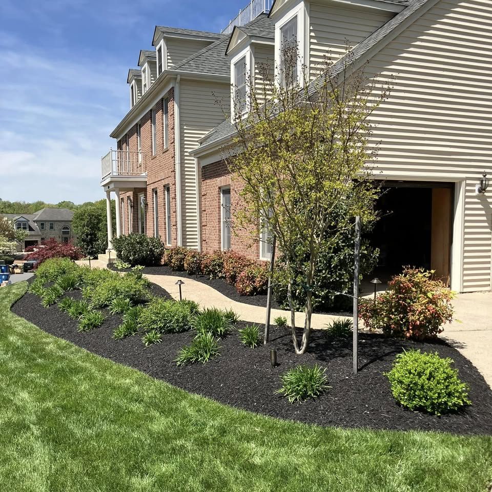 Freshly edged and mulched front beds with new shrubs and a young tree